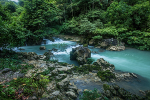 tranh suối Le-nin